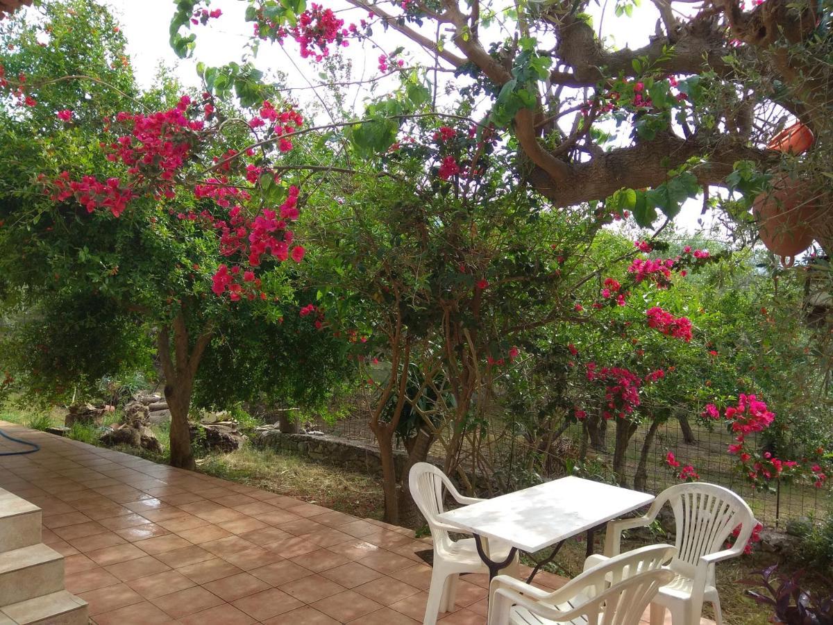 Ferienwohnung Ktima Tzamika Episkopi-Chania Exterior foto