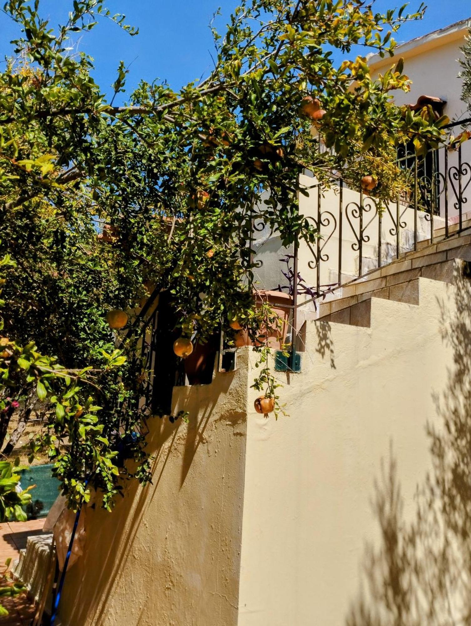 Ferienwohnung Ktima Tzamika Episkopi-Chania Exterior foto