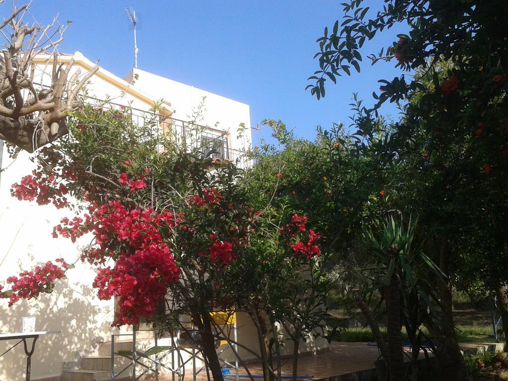 Ferienwohnung Ktima Tzamika Episkopi-Chania Exterior foto