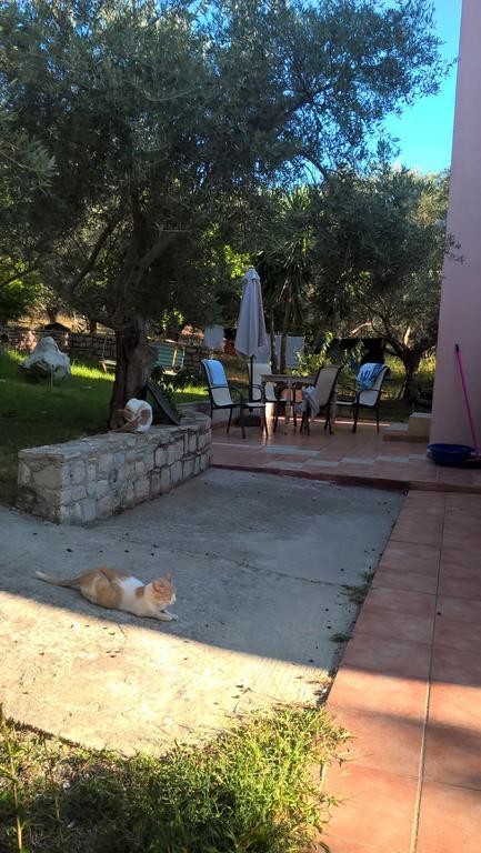 Ferienwohnung Ktima Tzamika Episkopi-Chania Exterior foto