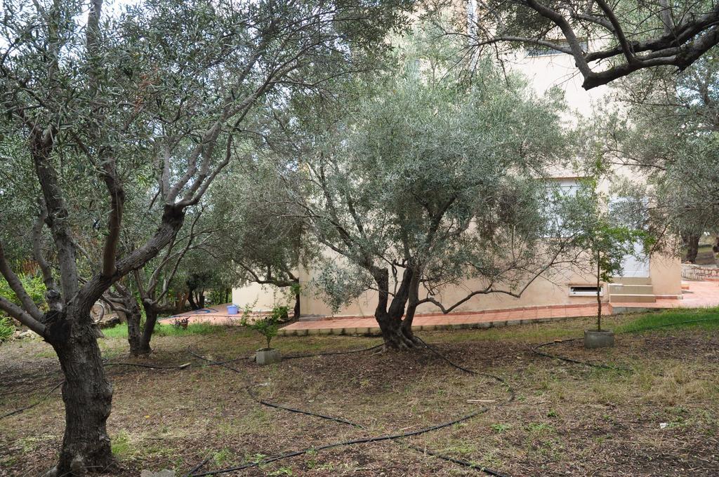 Ferienwohnung Ktima Tzamika Episkopi-Chania Exterior foto