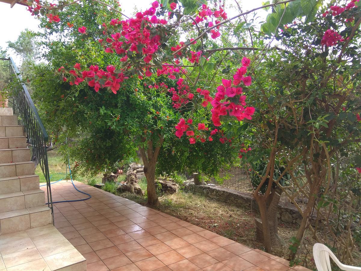 Ferienwohnung Ktima Tzamika Episkopi-Chania Exterior foto