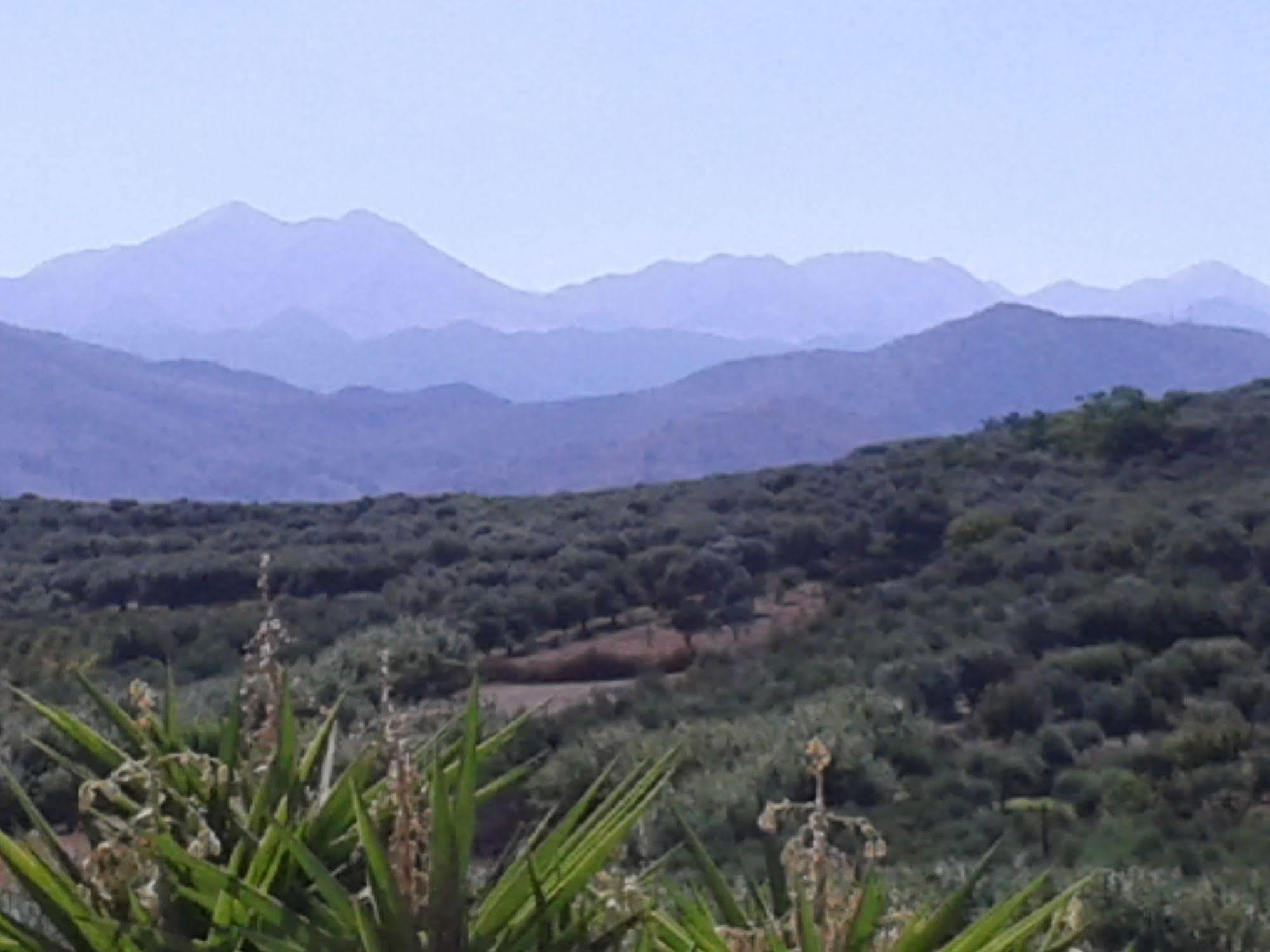Ferienwohnung Ktima Tzamika Episkopi-Chania Exterior foto