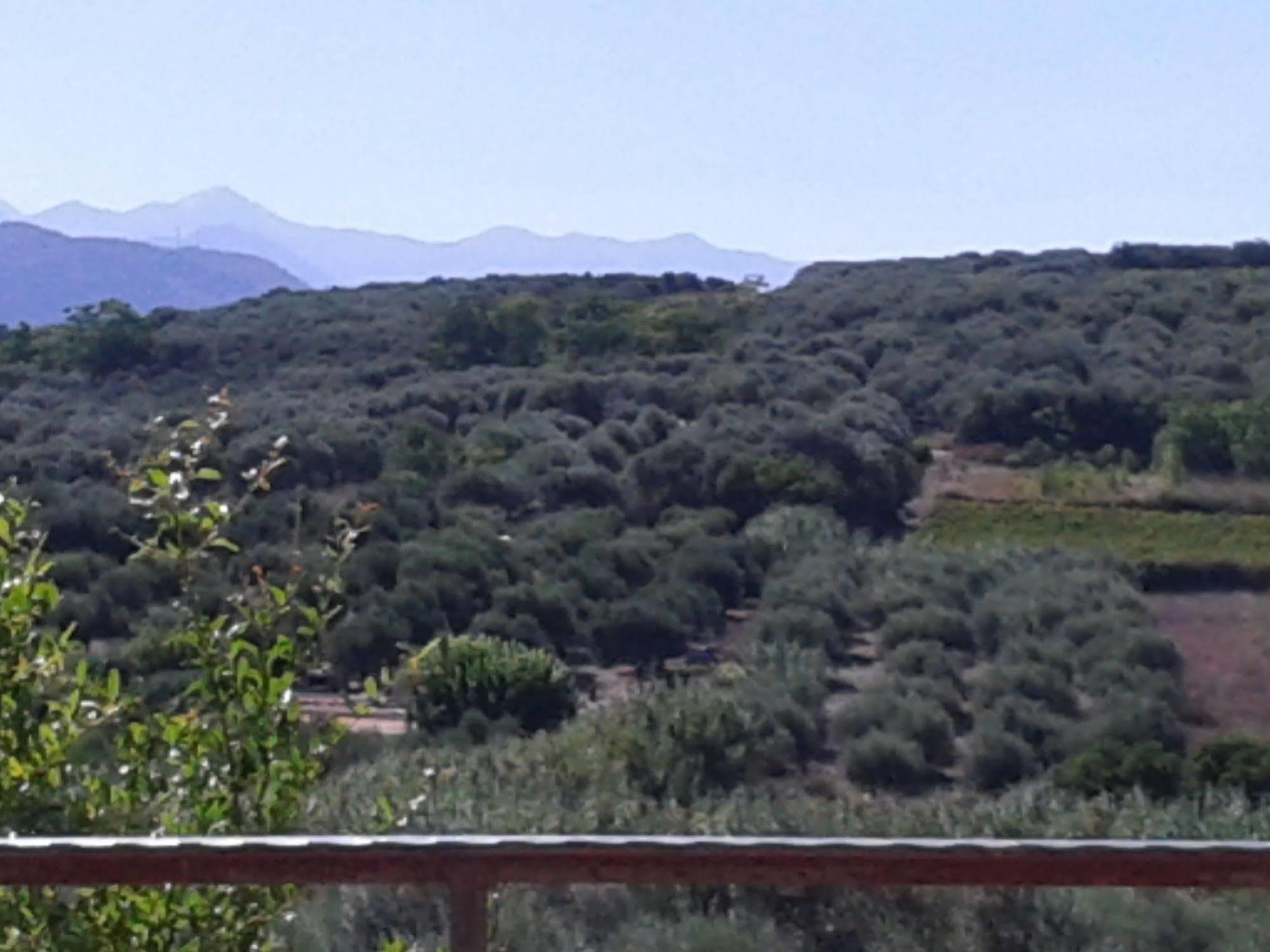 Ferienwohnung Ktima Tzamika Episkopi-Chania Exterior foto