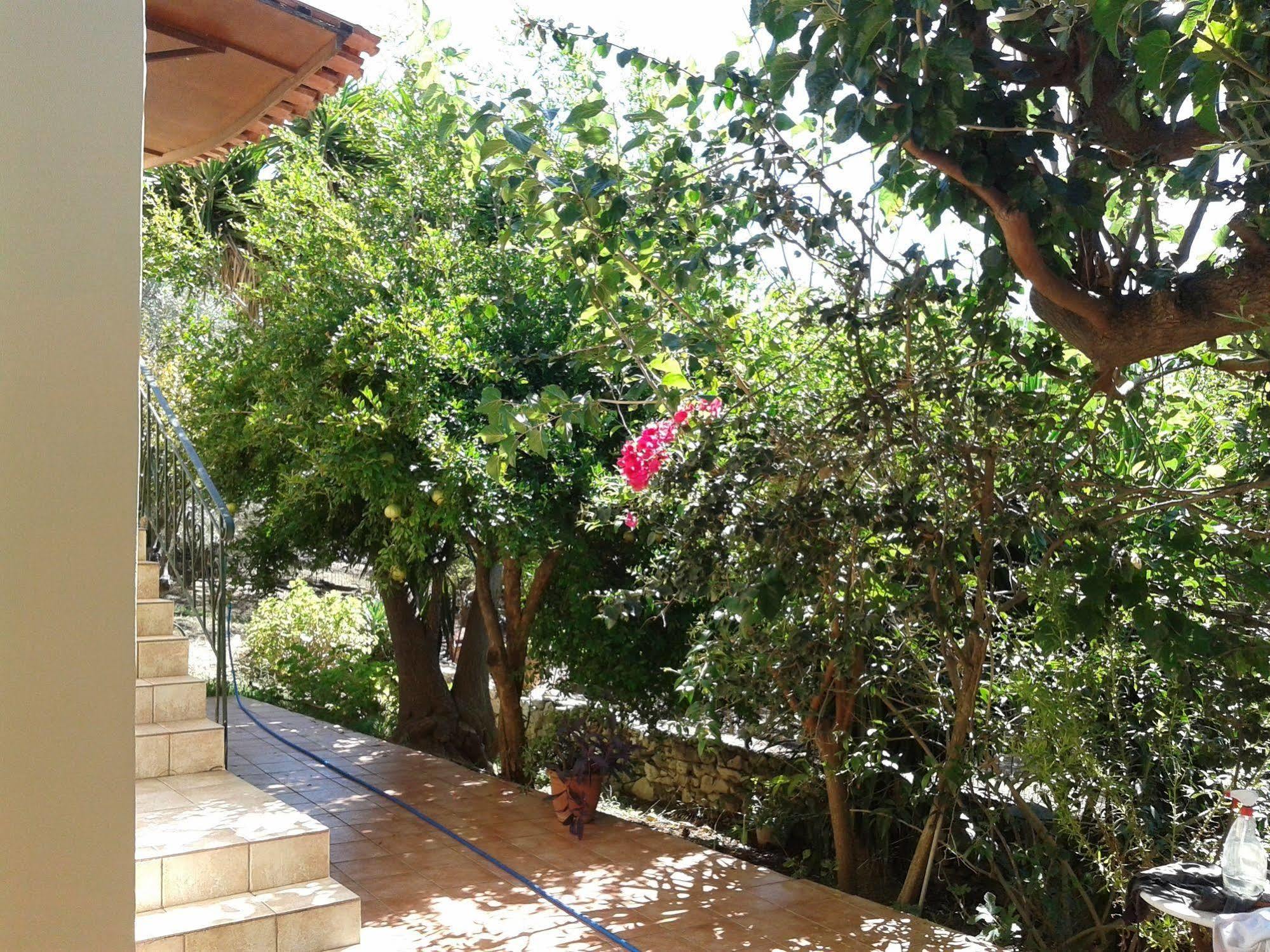 Ferienwohnung Ktima Tzamika Episkopi-Chania Exterior foto