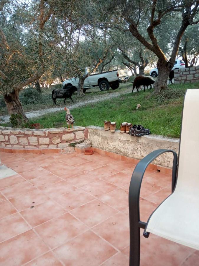 Ferienwohnung Ktima Tzamika Episkopi-Chania Exterior foto