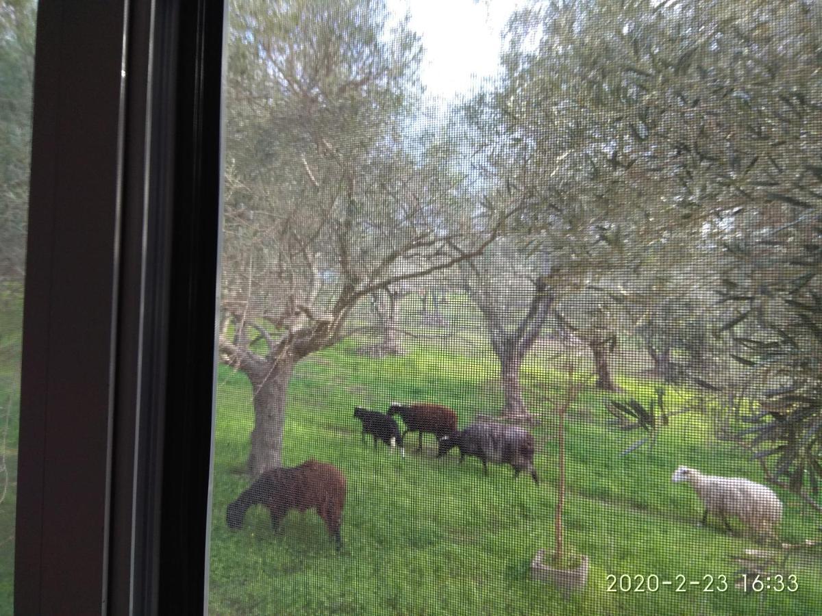 Ferienwohnung Ktima Tzamika Episkopi-Chania Exterior foto